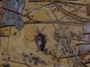 DSC05641