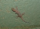 DSC05651