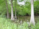 DSC06102