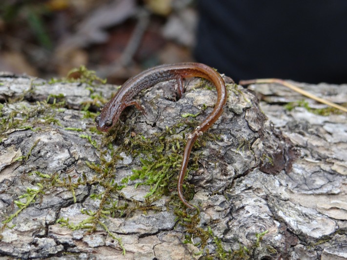 DSC06141