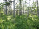 DSC06304