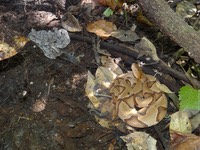 DSC06609