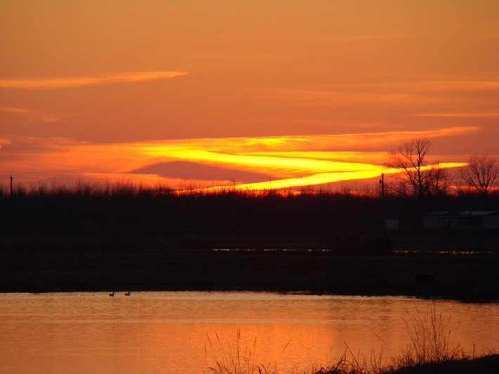 DSC06986 Coldwater
