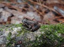 DSC07260