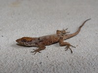 DSC07911