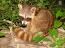 DSC07928