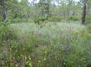 DSC08441 