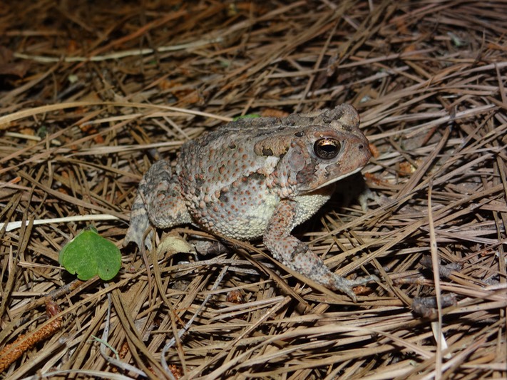 DSC08740