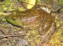 DSC09092