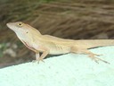 DSC09586 (2)