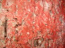 DSC09956
