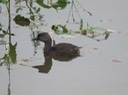 IMG_0214_South Texas