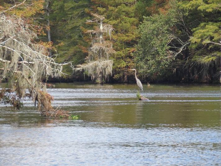 IMG_1643_Chicot State Park
