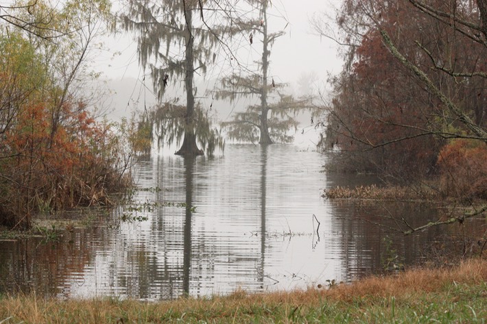 IMG_3190 Lake Martin