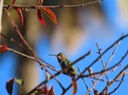 IMG_5692