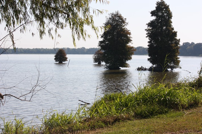 IMG_6200 Spanish Lake