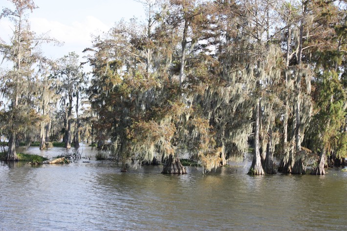 IMG_6488 Lake Martin