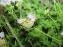 IMG_8023
