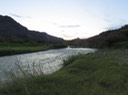 IMG_8184