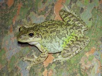 IMG 8362