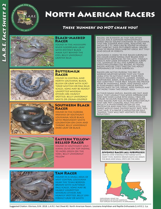 LARE Fact Sheet 2 - Racers