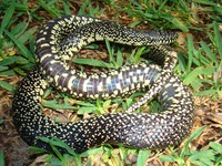 Matt Trip May 2009 048