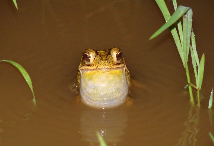 Matt Trip May 2009 051 (2)