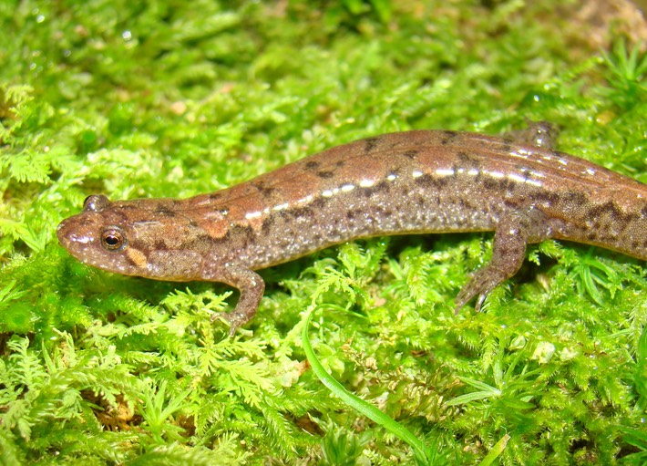Matt Trip May 2009 105 Mary Ann WestFel