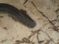 P1142560