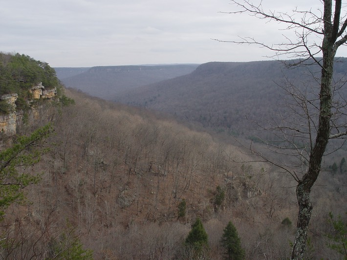 Picture 002 Stone Door