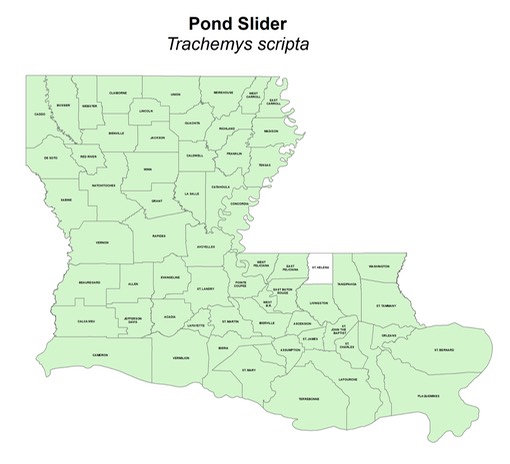 Pond Slider