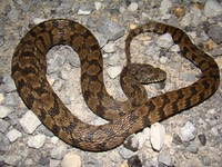 Random H9 Pics 2010 169