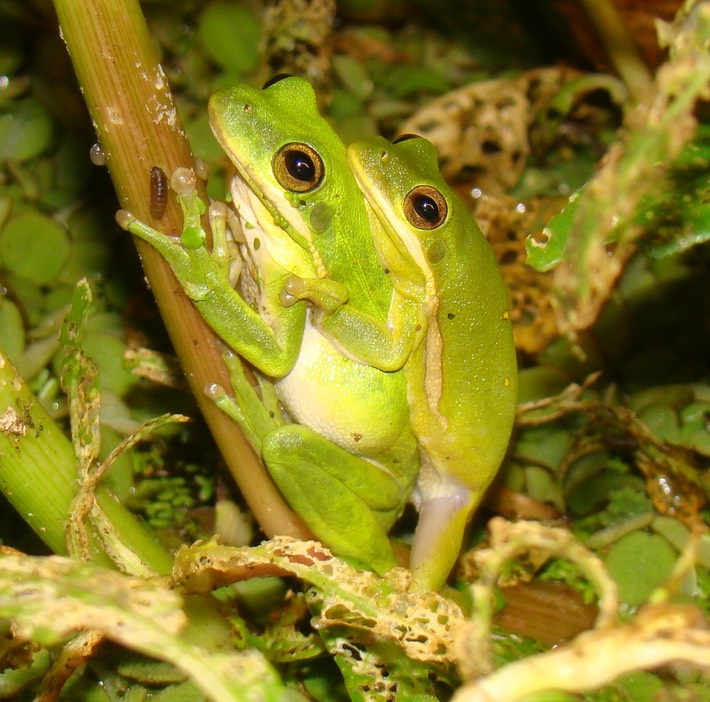 Random H9 Pics 2010 211 (2)