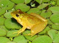 Random H9 Pics 2010 224 (2)