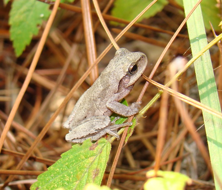 Random H9 Pics 2010 238 (2) STM