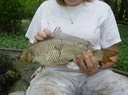 Reelfoot 2005 (143)