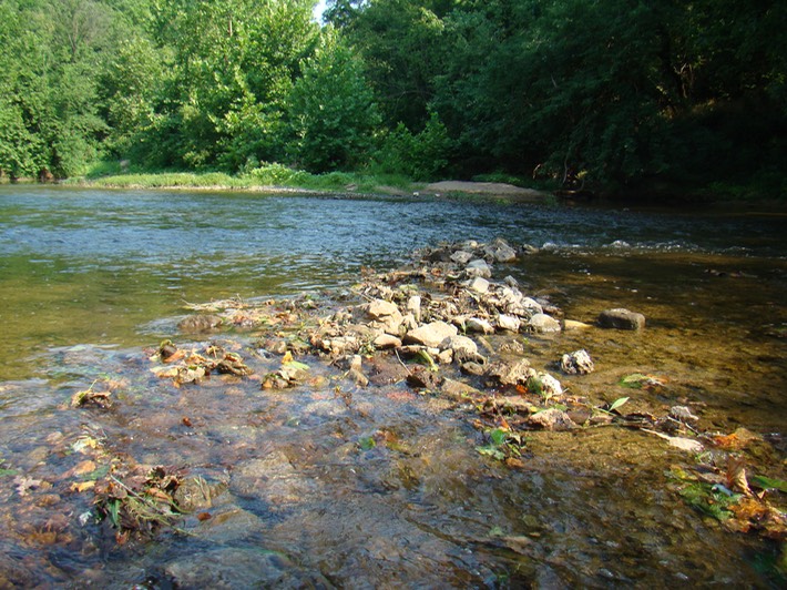 St. Francois State Park 109
