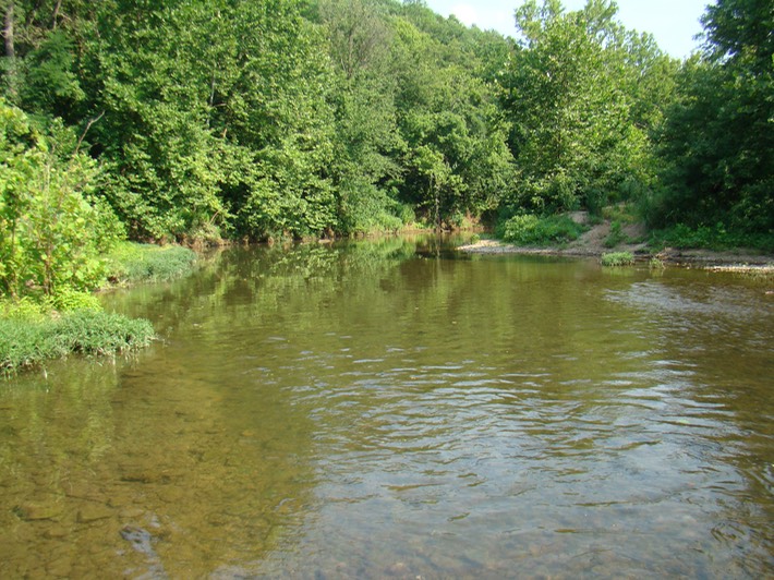 St. Francois State Park, MO | Amphibians and Reptiles of Louisiana