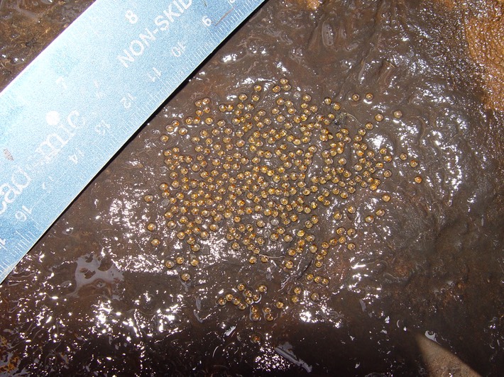 time wo miller 2-23-05 117