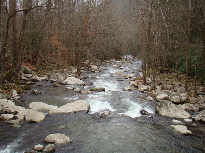 TNARMI-09 (136) Smokies