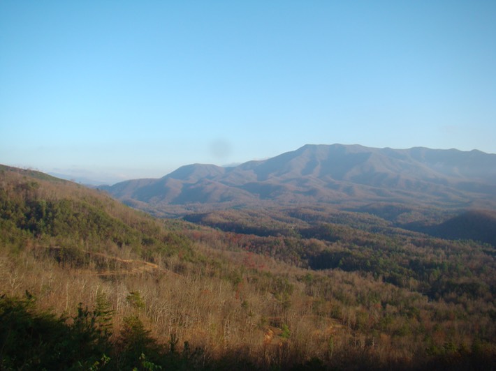 TNARMI-09 (146) Smokies