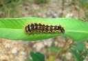 TOTSP 9-18-07 (13)