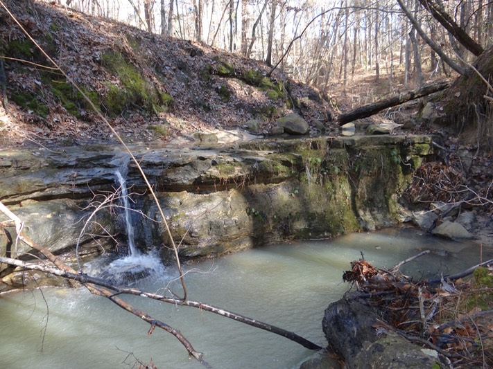 Sicily Island Hills WMA, Catahoula Parish, LA Brad Glorioso’s