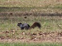 IMG_8955