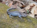 IMG_9169 copy
